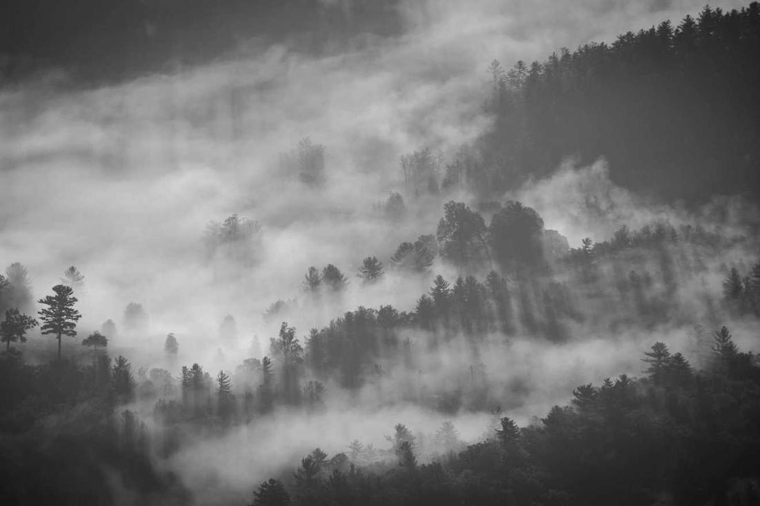 Id et repellat reprehenderit dolorem eos ipsam quos